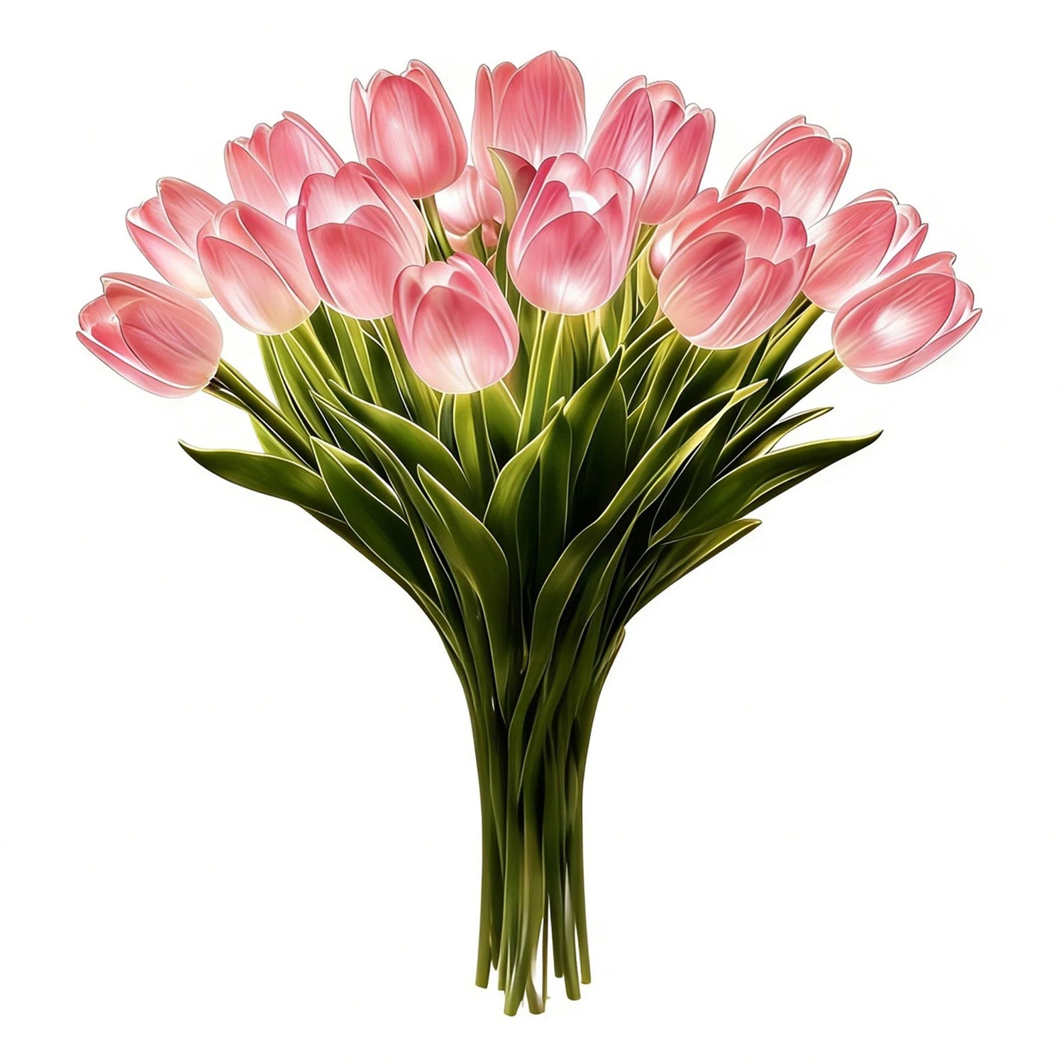 🌷 Korpia™ Tulipa Eterna Rosa